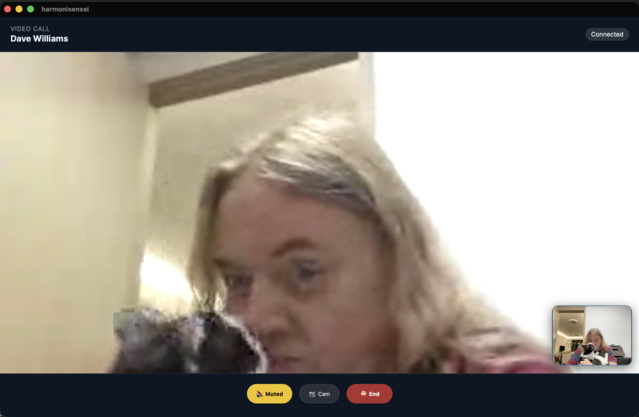 Video Calls
